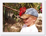At the Zoo (3) * 1024 x 768 * (139KB)